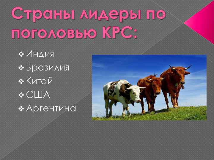 Страны лидеры по поголовью КРС: v Индия v Бразилия v Китай v США v