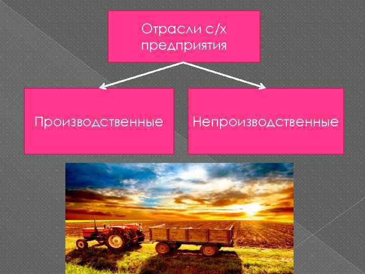Отрасли с/х предприятия Производственные Непроизводственные 