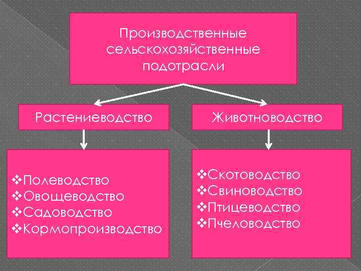 Производственные сельскохозяйственные подотрасли Растениеводство v. Полеводство v. Овощеводство v. Садоводство v. Кормопроизводство Животноводство v.