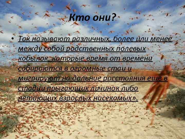 Кто они? • Так называют различных, более или менее между собой родственных полевых кобылок,