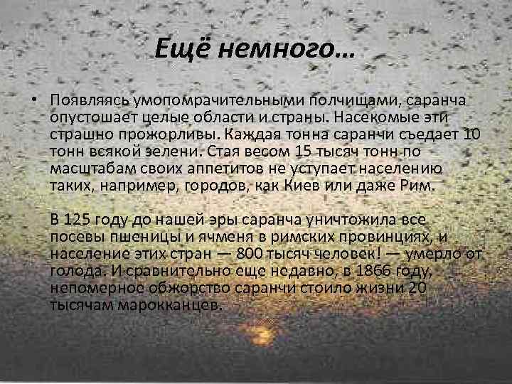 Ещё немного… • Появляясь умопомрачительными полчищами, саранча опустошает целые области и страны. Насекомые эти