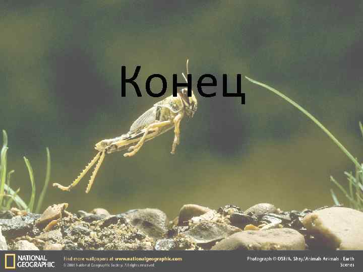 Конец 