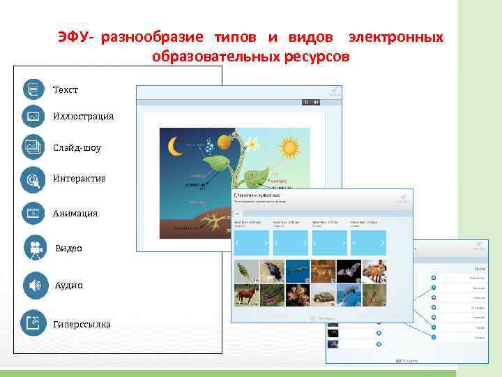 ЭФУ- разнообразие типов и видов электронных образовательных ресурсов Текст Иллюстрация Слайд-шоу Интерактив Анимация Видео