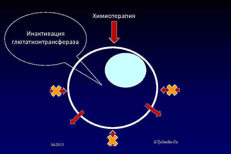 Химиотерапия Инактивация глютатионтрансфераза 04. 2015 S. Tjulandin Са 