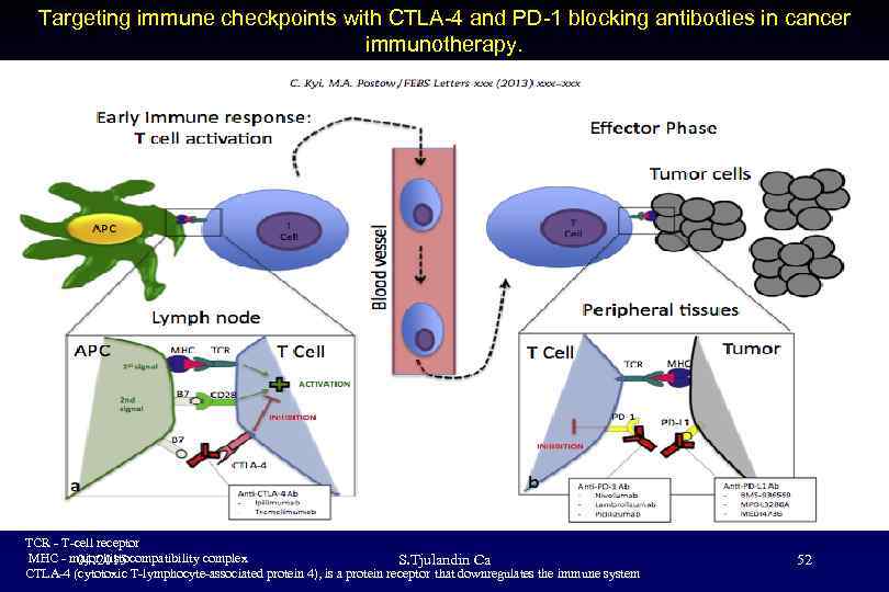 Только для совета экспертов Targeting immune checkpoints with CTLA-4 and PD-1 blocking antibodies in