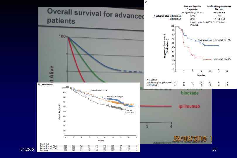 04. 2015 S. Tjulandin Са 55 