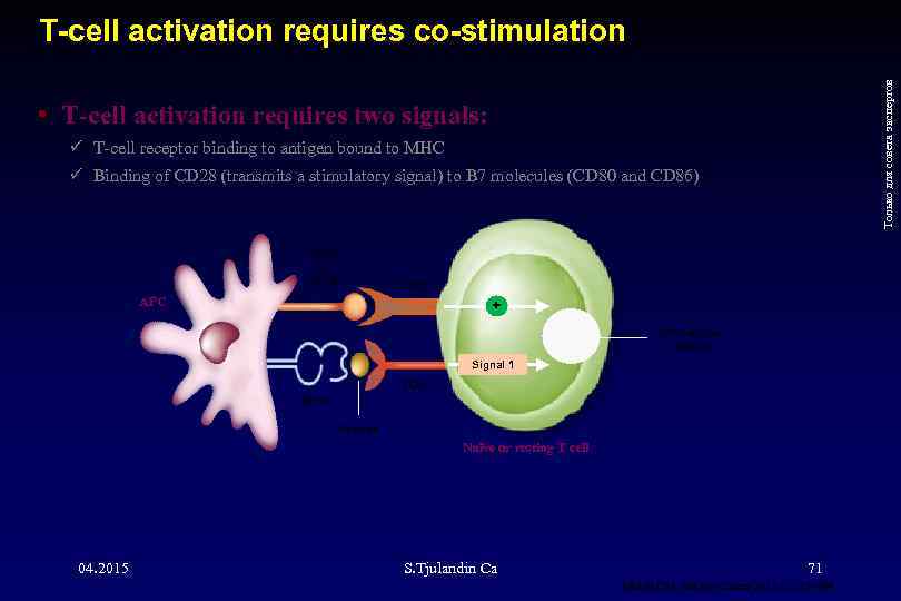 Только для совета экспертов T-cell activation requires co-stimulation • T-cell activation requires two signals: