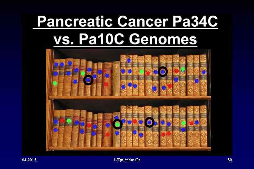 04. 2015 S. Tjulandin Са 80 