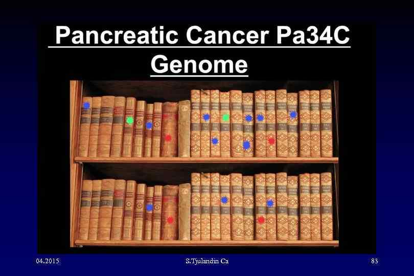 04. 2015 S. Tjulandin Са 83 