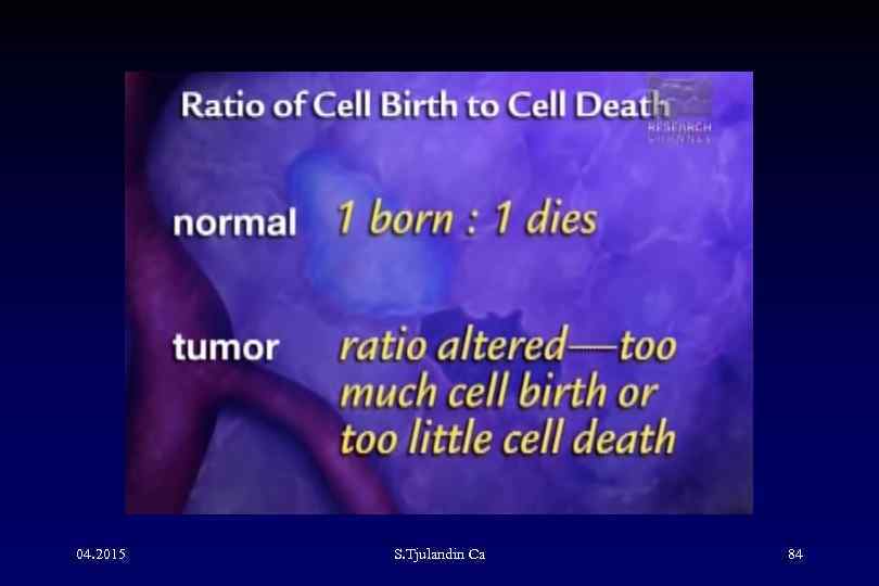 04. 2015 S. Tjulandin Са 84 