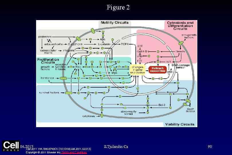 Figure 2 04. 2015 Cell 2011 144, 646 -674 DOI: (10. 1016/j. cell. 2011.