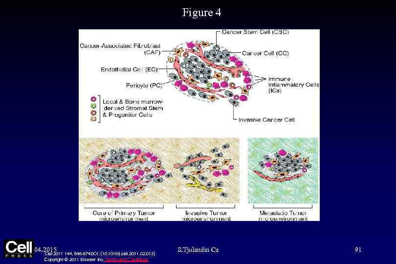 Figure 4 04. 2015 Cell 2011 144, 646 -674 DOI: (10. 1016/j. cell. 2011.