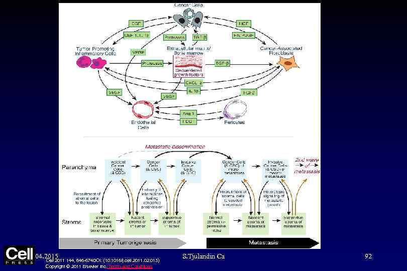 Figure 5 04. 2015 Cell 2011 144, 646 -674 DOI: (10. 1016/j. cell. 2011.