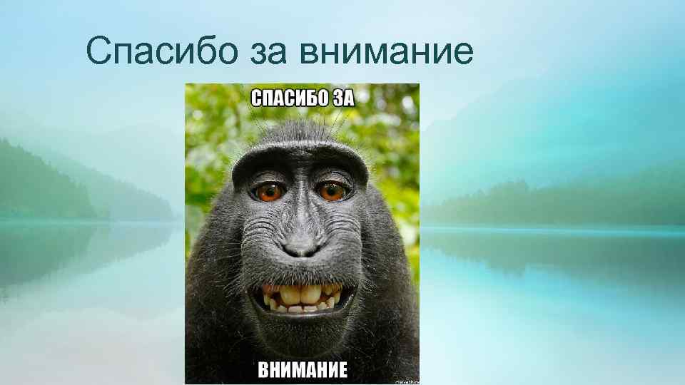 Спасибо за внимание 