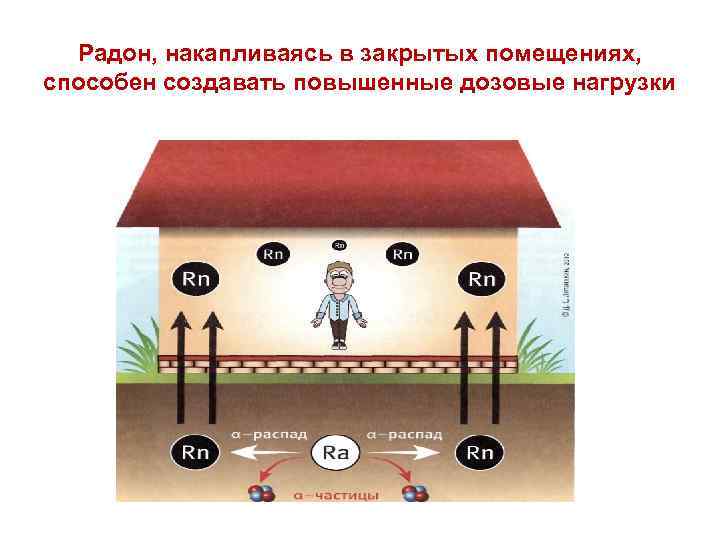 Радон, накапливаясь в закрытых помещениях, способен создавать повышенные дозовые нагрузки 