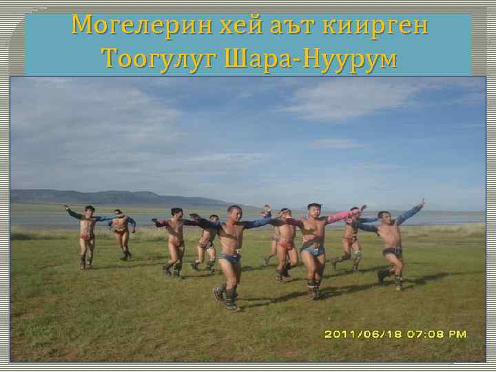 Могелерин хей аът киирген Тоогулуг Шара-Нуурум 