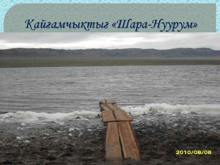 Кайгамчыктыг «Шара-Нуурум» 
