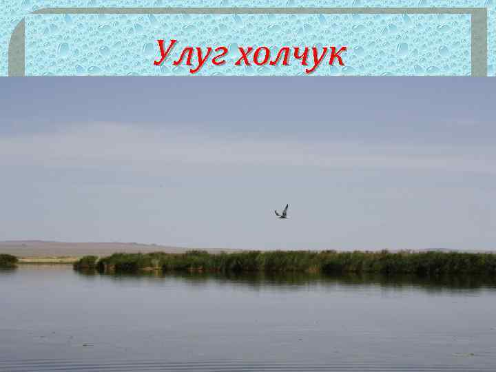 Улуг холчук 