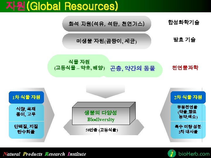 자원(Global Resources) 화석 자원(석유, 석탄, 천연가스) 합성화학기술 미생물 자원(곰팡이, 세균) 발효 기술 식물 자원