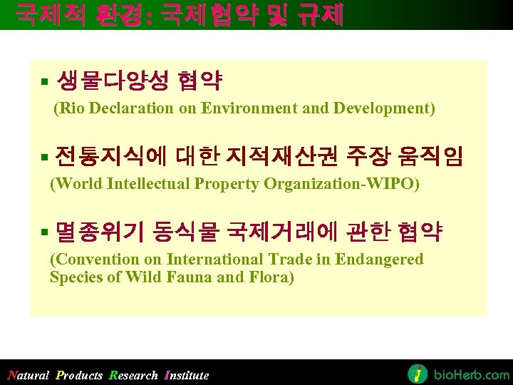 국제적 환경: 국제협약 및 규제 § 생물다양성 협약 (Rio Declaration on Environment and Development)