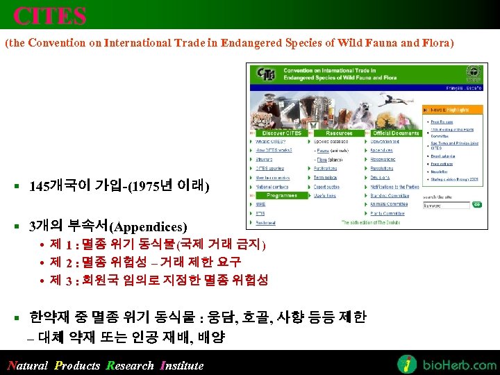 CITES (the Convention on International Trade in Endangered Species of Wild Fauna and Flora)