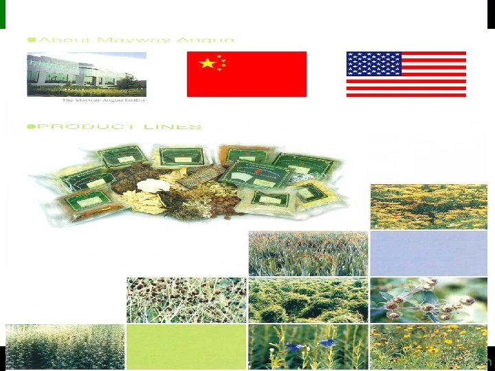 Natural Products Research Institute 