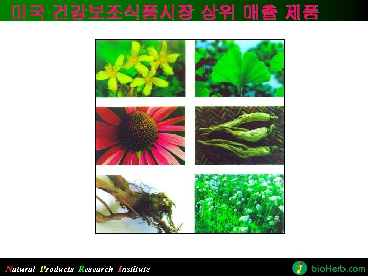 미국 건강보조식품시장 상위 매출 제품 Natural Products Research Institute 