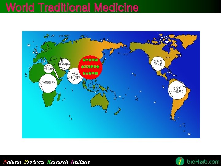 World Traditional Medicine 황하문화권 양자강문화권 강남문화권 Natural Products Research Institute 