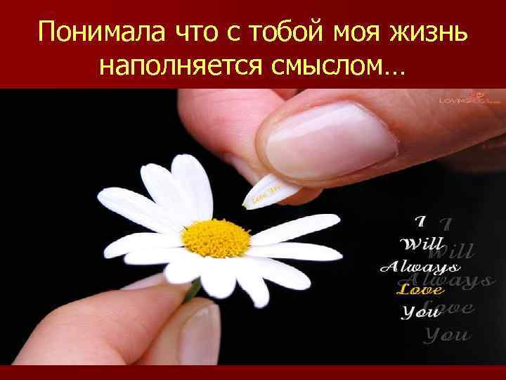 Понимала что с тобой моя жизнь наполняется смыслом… 
