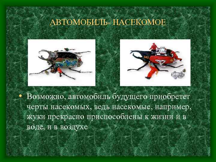 АВТОМОБИЛЬ- НАСЕКОМОЕ • Возможно, автомобиль будущего приобретет черты насекомых, ведь насекомые, например, жуки прекрасно