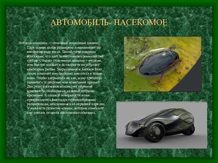АВТОМОБИЛЬ- НАСЕКОМОЕ Вот жук-плавунец — отличный подводный пловец. Пара задних лапок расширена и напоминает