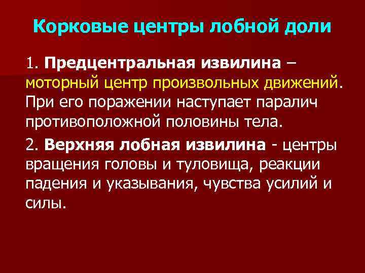 Корковые центры лобной доли 1. Предцентральная извилина – моторный центр произвольных движений. При его