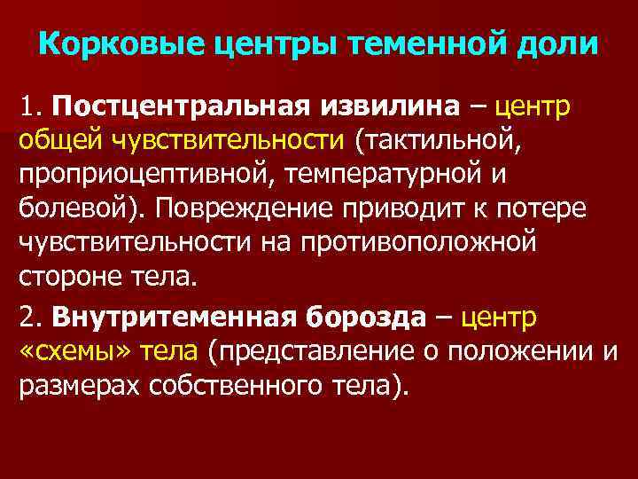 Корковые центры теменной доли 1. Постцентральная извилина – центр общей чувствительности (тактильной, проприоцептивной, температурной