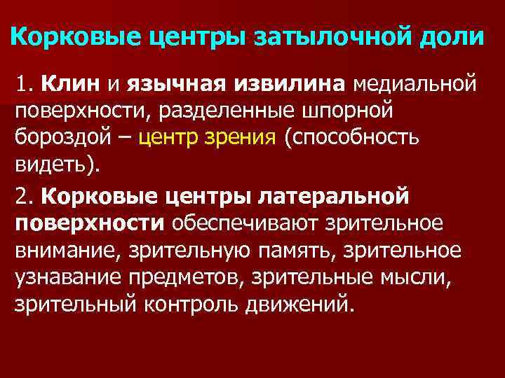 Корковые центры затылочной доли 1. Клин и язычная извилина медиальной поверхности, разделенные шпорной бороздой