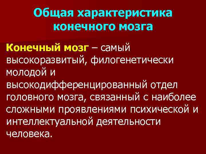 Общая характеристика конечного мозга Конечный мозг – самый высокоразвитый, филогенетически молодой и высокодифференцированный отдел