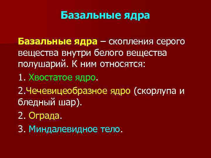 Базальные ядра – скопления серого вещества внутри белого вещества полушарий. К ним относятся: 1.