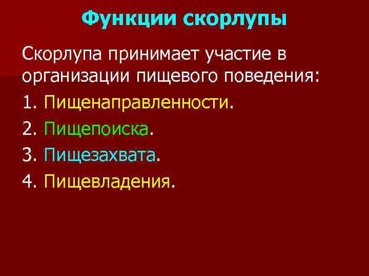 Функции скорлупы Скорлупа принимает участие в организации пищевого поведения: 1. Пищенаправленности. 2. Пищепоиска. 3.