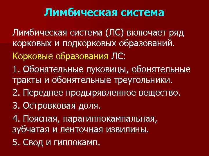 Лимбическая система (ЛС) включает ряд корковых и подкорковых образований. Корковые образования ЛС: 1. Обонятельные