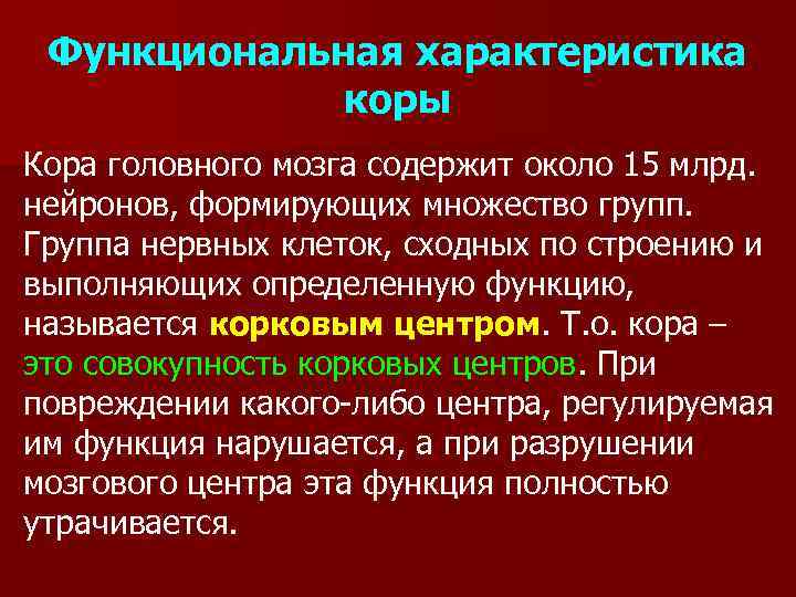 Функциональная характеристика коры Кора головного мозга содержит около 15 млрд. нейронов, формирующих множество групп.