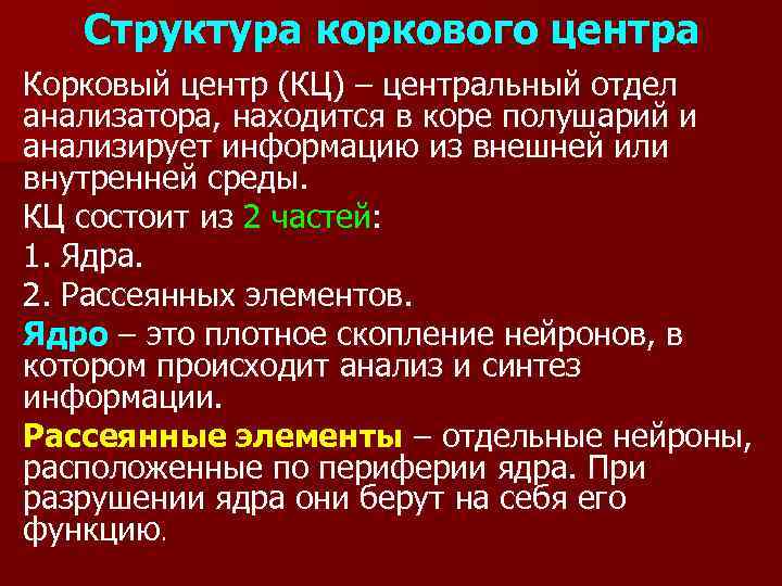 Структура коркового центра Корковый центр (КЦ) – центральный отдел анализатора, находится в коре полушарий