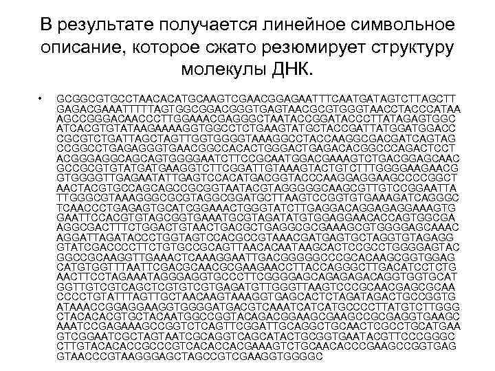 В результате получается линейное символьное описание, которое сжато резюмирует структуру молекулы ДНК. • GCGGCGTGCCTAACACATGCAAGTCGAACGGAGAATTTCAATGATAGTCTTAGCTT