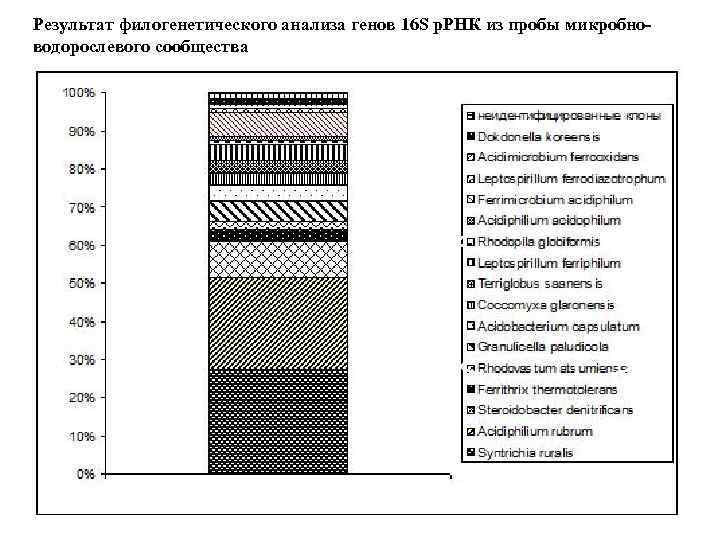 Результат филогенетического анализа генов 16 S р. РНК из пробы микробноводорослевого сообщества 