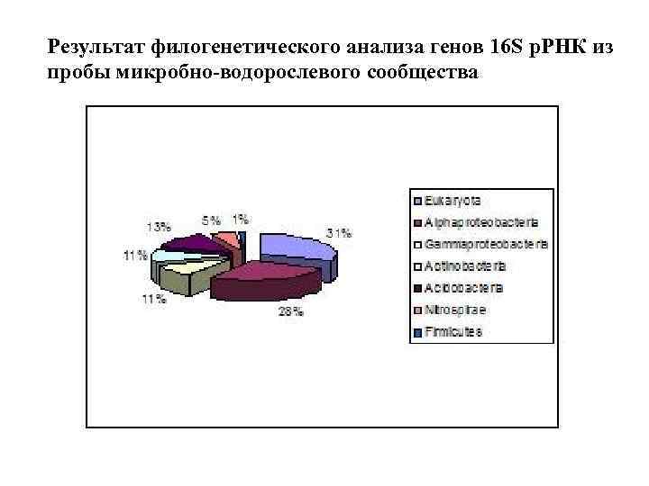 Результат филогенетического анализа генов 16 S р. РНК из пробы микробно-водорослевого сообщества 