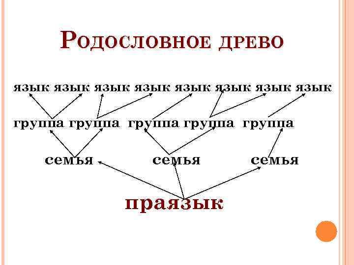 Генеалогическое древо русского языка картинки