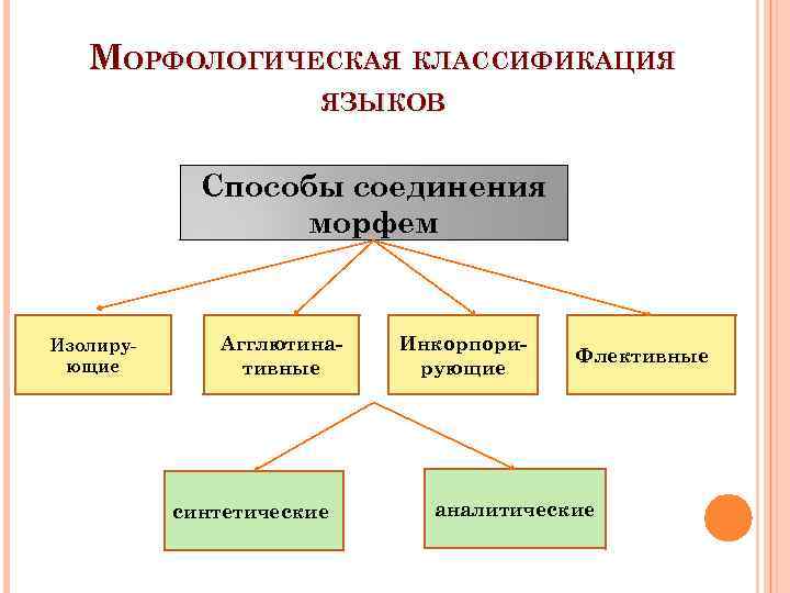 Морфологическая классификация языков презентация