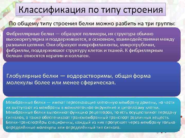 Классификация по типу строения По общему типу строения белки можно разбить на три группы: