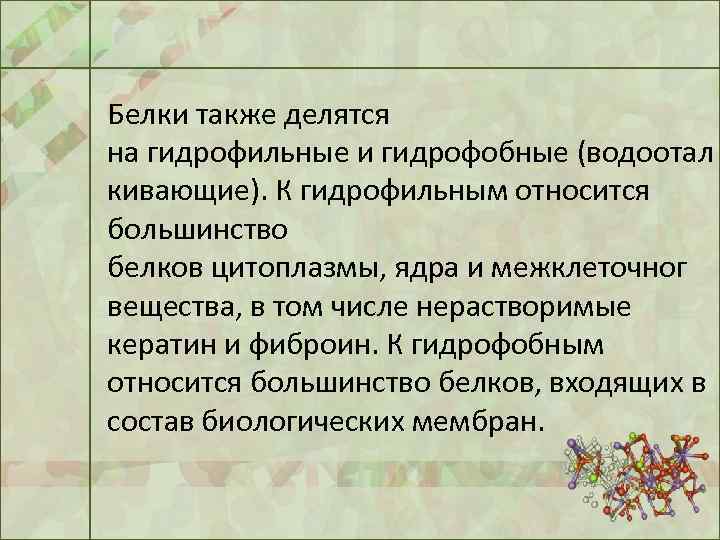 Белки также делятся на гидрофильные и гидрофобные (водоотал кивающие). К гидрофильным относится большинство белков