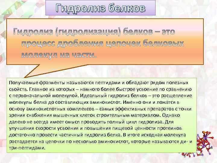 Гидролиз белков Получаемые фрагменты называются пептидами и обладают рядом полезных свойств. Главное из которых