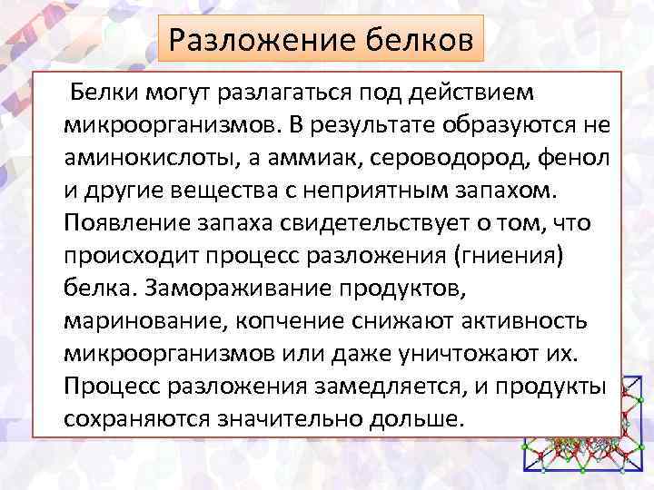 Разложение белков Белки могут разлагаться под действием микроорганизмов. В результате образуются не аминокислоты, а