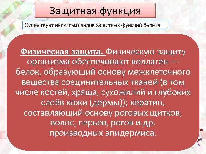 Защитная функция Существует несколько видов защитных функций белков: Физическая защита. Физическую защиту организма обеспечивают